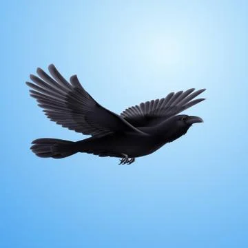 Black raven 스톡 일러스트