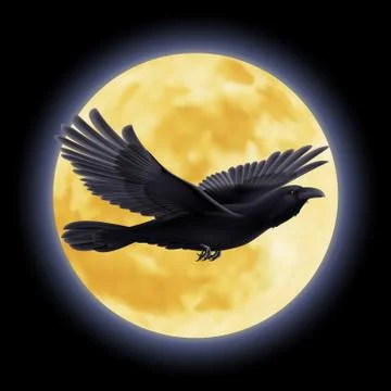 Black raven Illustrazione stock