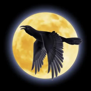 Black raven 스톡 일러스트