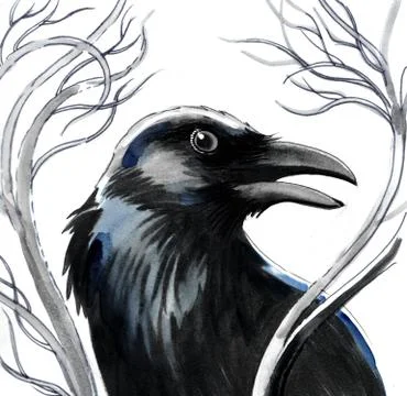 Black raven Stock Illustration