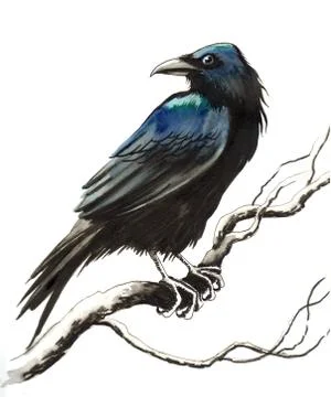Black raven Stock Illustration