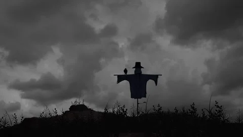 Black Raven on an Old Scarecrow in a Gray Winter Field Stock Footage 302549285