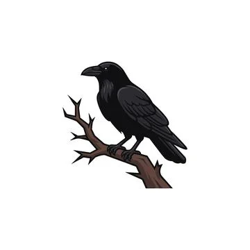 A black raven sits on a bare, brown tree branch against a clean white backgro Stock Illustration