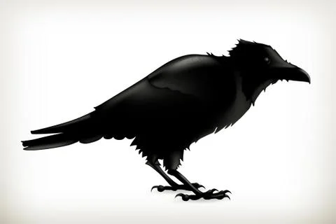 Black raven, vector silhouette Stock Illustration