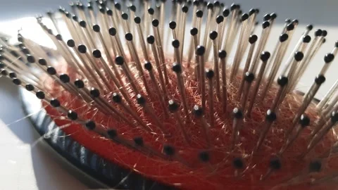 Black red iron comb with dust and long hair Stock Footage 168486543