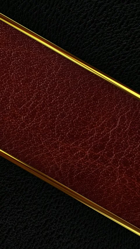 Black Red Leather Rotation with Gold Stripes, Exclusive Motion Design 스톡 동영상 343253250