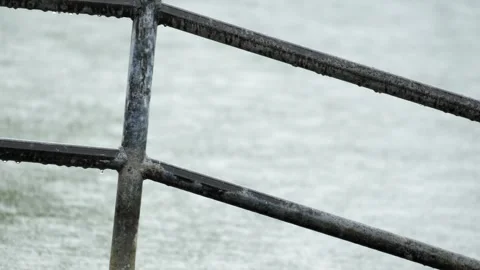 Black Redstart Taking Flight from Metal Railing by the Lake - 4K Wildlife Slow Stock Footage 336692646