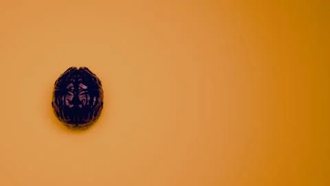 A black reflective brain on orange background.. Stock Photos