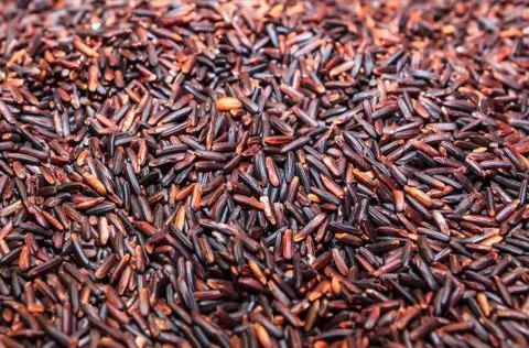Black rice background Stock Photos