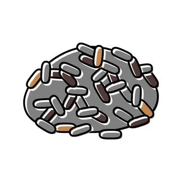 Black rice color icon vector illustration Illustrazione stock