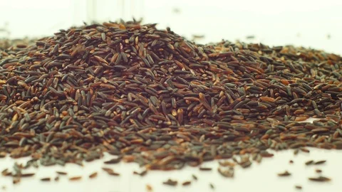 Black rice falling. Stock Footage 89612134
