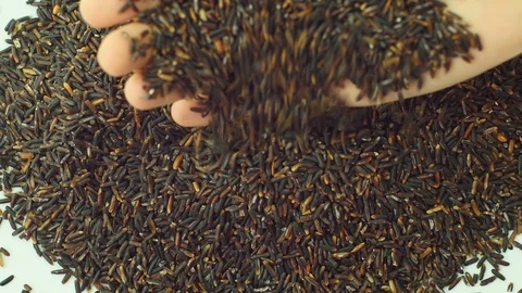 Black rice falling from hand. 库存影片 89613078