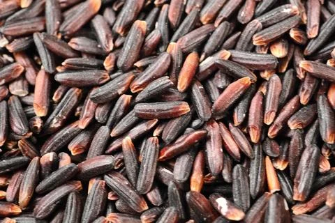 Black rice grains in close view showing their unique shape Stock Photos