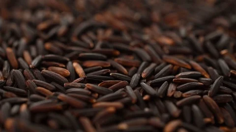 Black rice macro closeup Video stock 111953384
