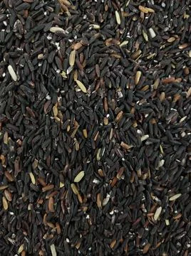 Black rice Foto stock