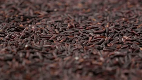 Black rice, side view. Rice - background. Stock Footage 144685366