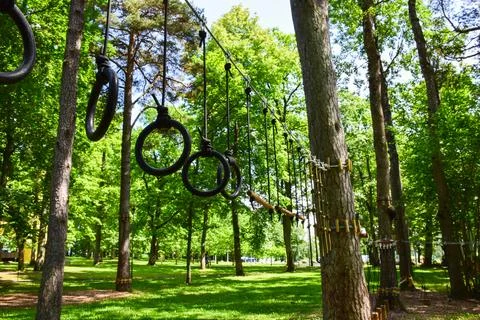 Black rings hang from tree branches Stock Photos