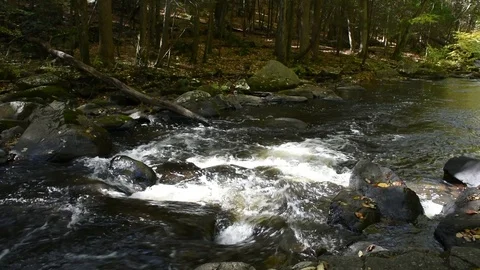 The Black River 3 Stock Footage 101619961