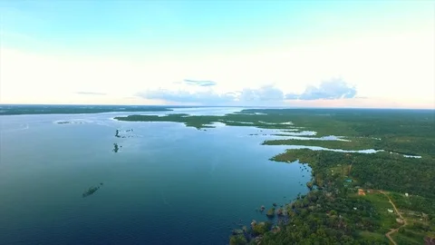 Black river aerial scene in amazon Video stock 114870055