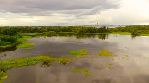Black river aerial scene in amazon Stock Footage 114872043