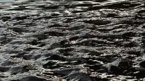 Black river Stock Footage 8909418