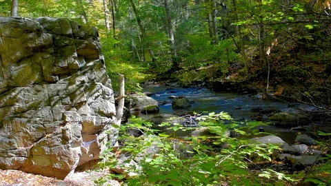 The Black River Stock Footage 101619562