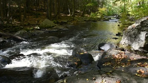 The Black River Stock Footage 101619870