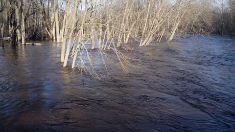 Black River Forest Spring flooding water Upper Peninsula Michigan Stock Footage 312349291
