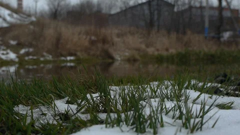 Black river, grass in snow Stock Footage 122840676