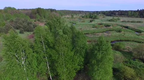 Black River Lada in the area of Bilgoraj // AERIAL footage//01 Stock Footage 61727275