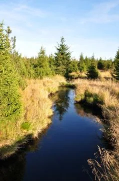 Black river Stock Photos