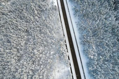 Black road and trees with chill snow in mountains Stock Photos