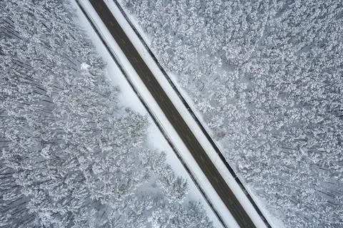 Black road and trees with chill snow in mountains Stockfoto's