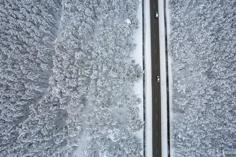 Black road and trees with chill snow in mountains Stock Photos