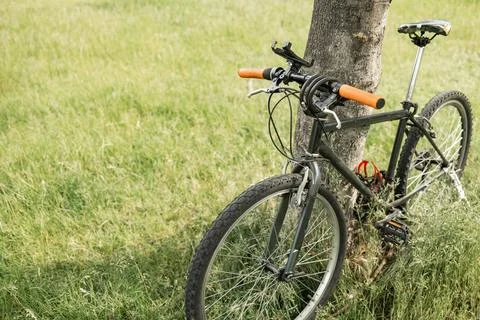 A black road bicycle is parked, leaned on a tree at a beautiful road Stock Photos