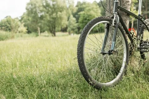 A black road bicycle is parked, leaned on a tree at a beautiful road Stock Photos
