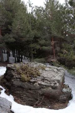 Black rock or stone in the snow Stock Photos