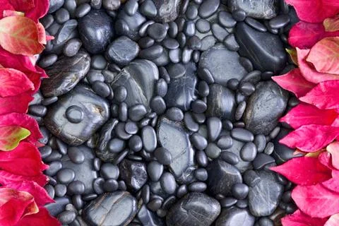 Black Rocks Bordered Left and Right by Red Leaves Stock Photos