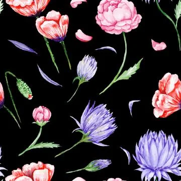 Black Romas Floral Pattern Ilustración de archivo