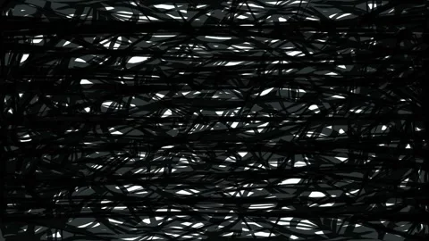 Black roots spread across a white background in Full HD. Scene transition with a Stock Footage 339021433