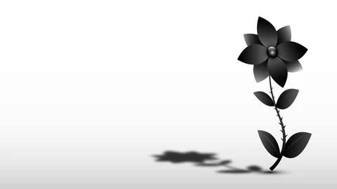 Black rose motion wind Stock Footage 96316142