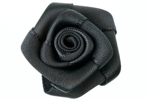 Black rose. Stock Photos
