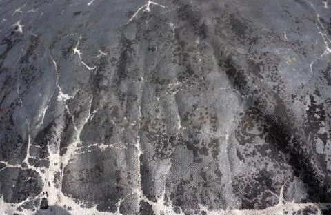 In black rough texture, distressed Stock Photos