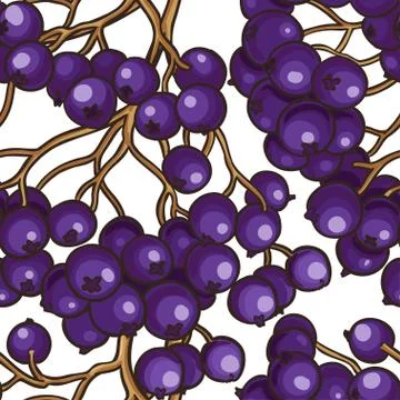 Black rowan berries vector pattern Stock Illustration