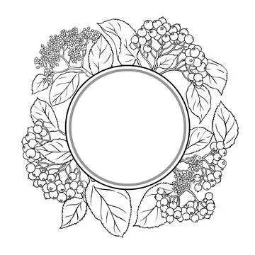 Black Rowan Outline Round Frame. Illustrazione stock