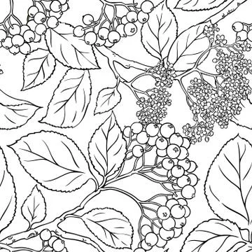 Black rowan seamless pattern Stock Illustration