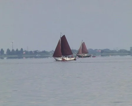 Black Sails Vídeo Stock 96905