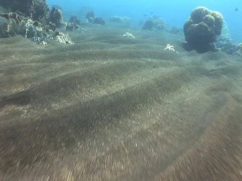Black sand and reef Stock Footage 98726150