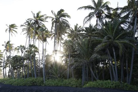 Black Sand Beach Big Island Hawaii Stock Photos