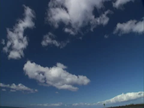 Black Sand Beach Stock Footage 22244912